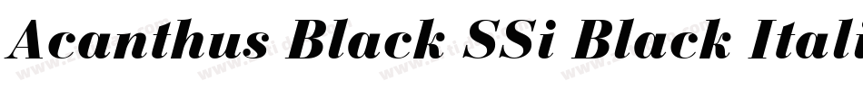Acanthus Black SSi Black Italic字体转换